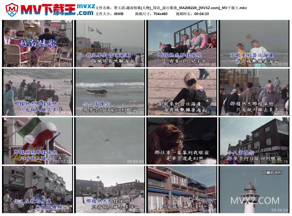 费玉清-越南情歌(人物)_国语_流行歌曲_MA206229